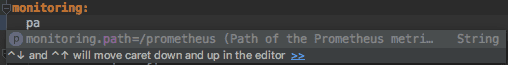 IntelliJ configuration properties intellisense