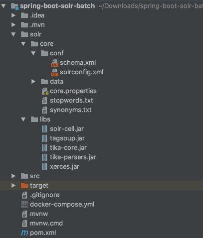 Project structure of a Solr Docker project